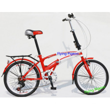 Specail City Alloy Folding Bike (FP-FDB-D009)